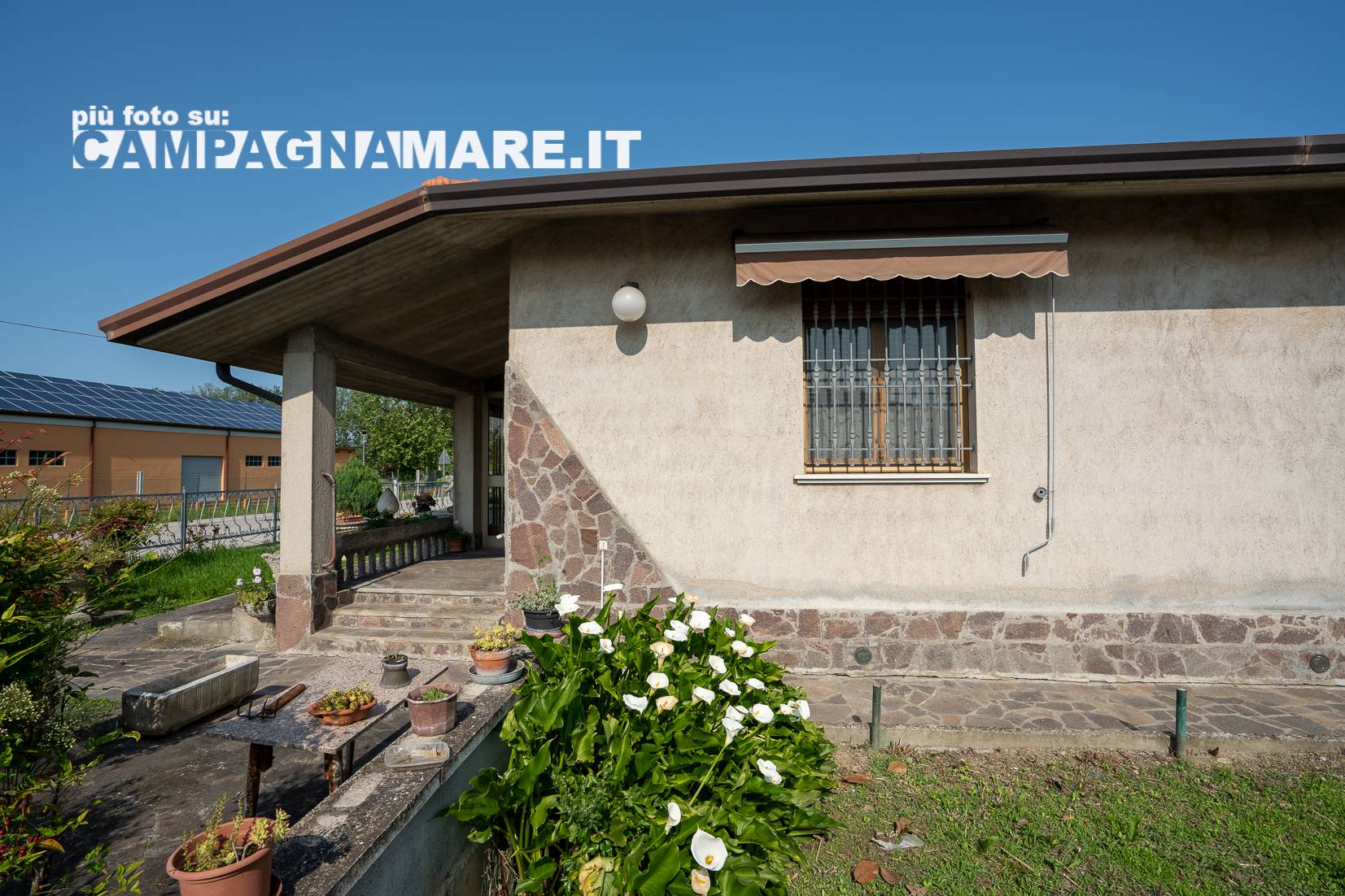 immagine annuncio 7 di 10