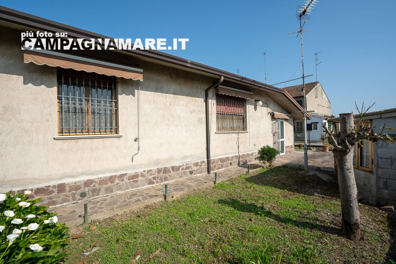 immagine annuncio 8 di 10