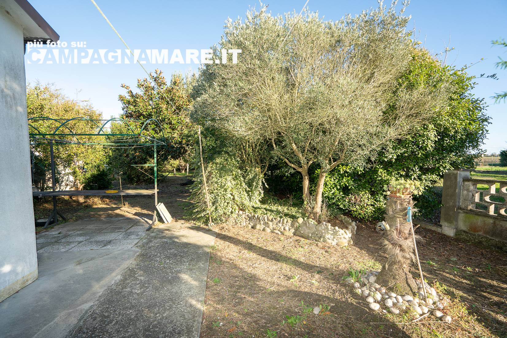 Casa singola in vendita a Codigoro