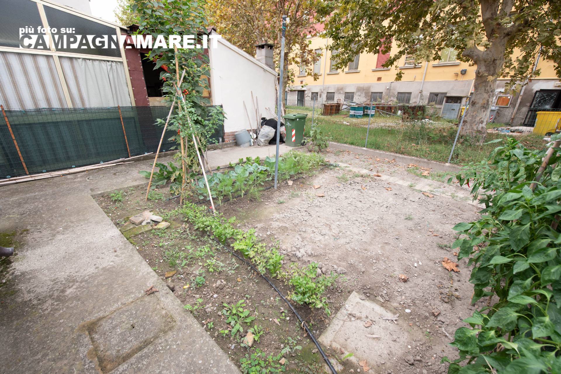 Casa singola in vendita a Fiscaglia