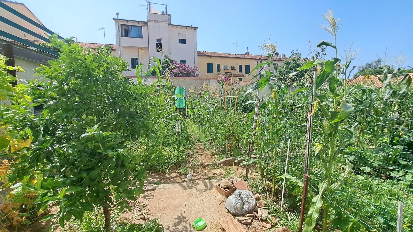 Appartamento con giardino, Rosignano Marittimo rosignano solvay