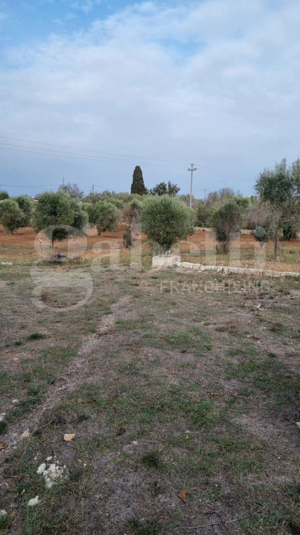 Terreno Edificabile in vendita a Carovigno