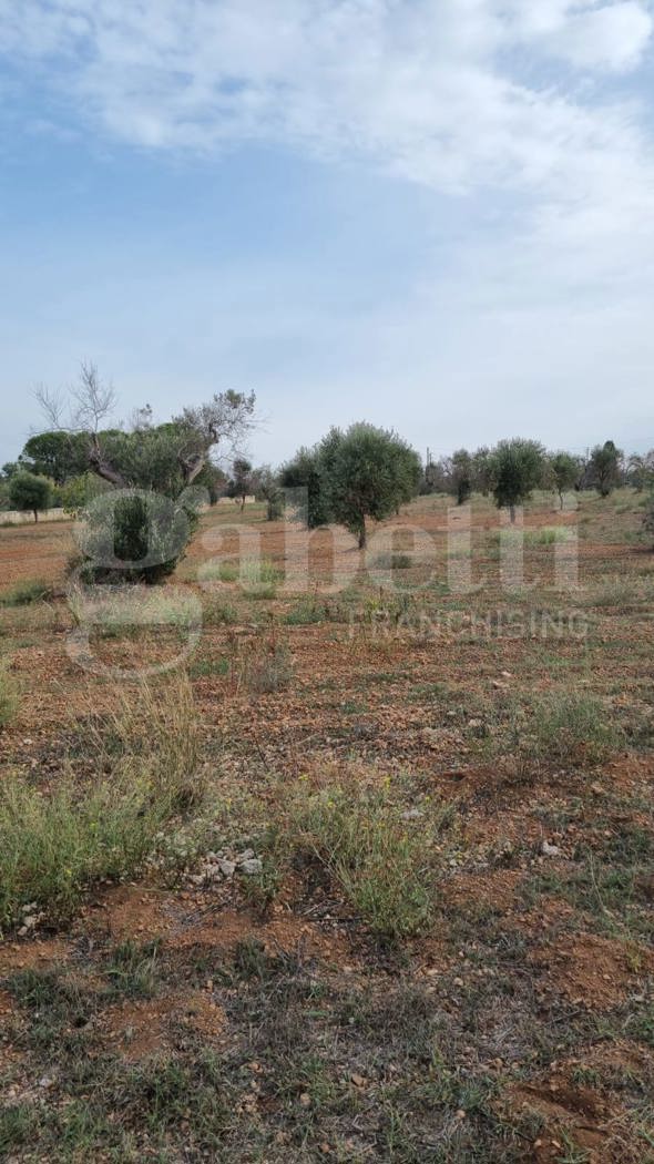 Terreno Edificabile in vendita a Carovigno