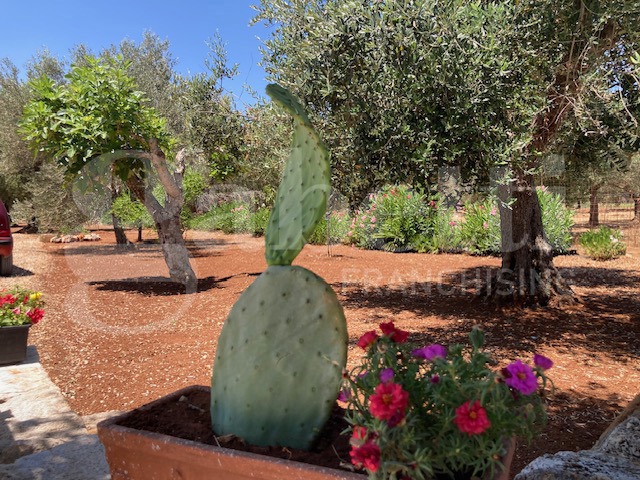 Villa con giardino a San Vito dei Normanni
