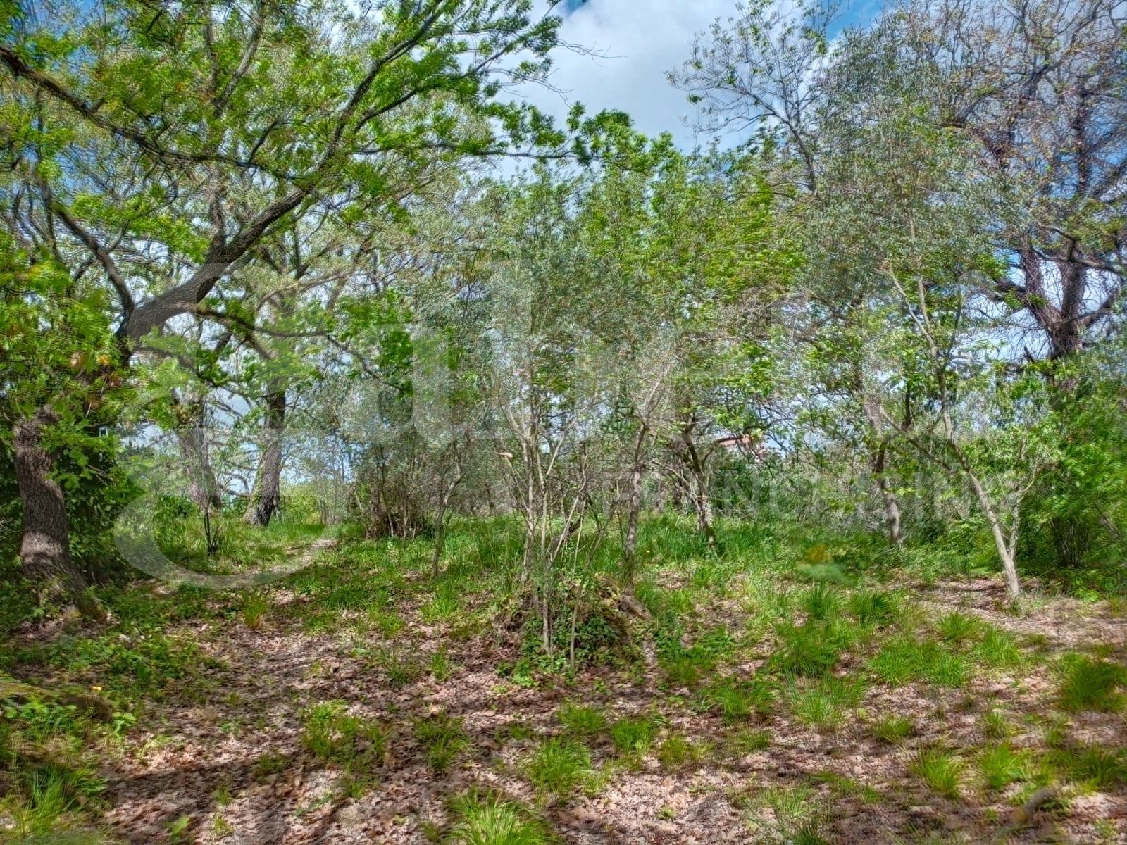 Villa in vendita a Borgia