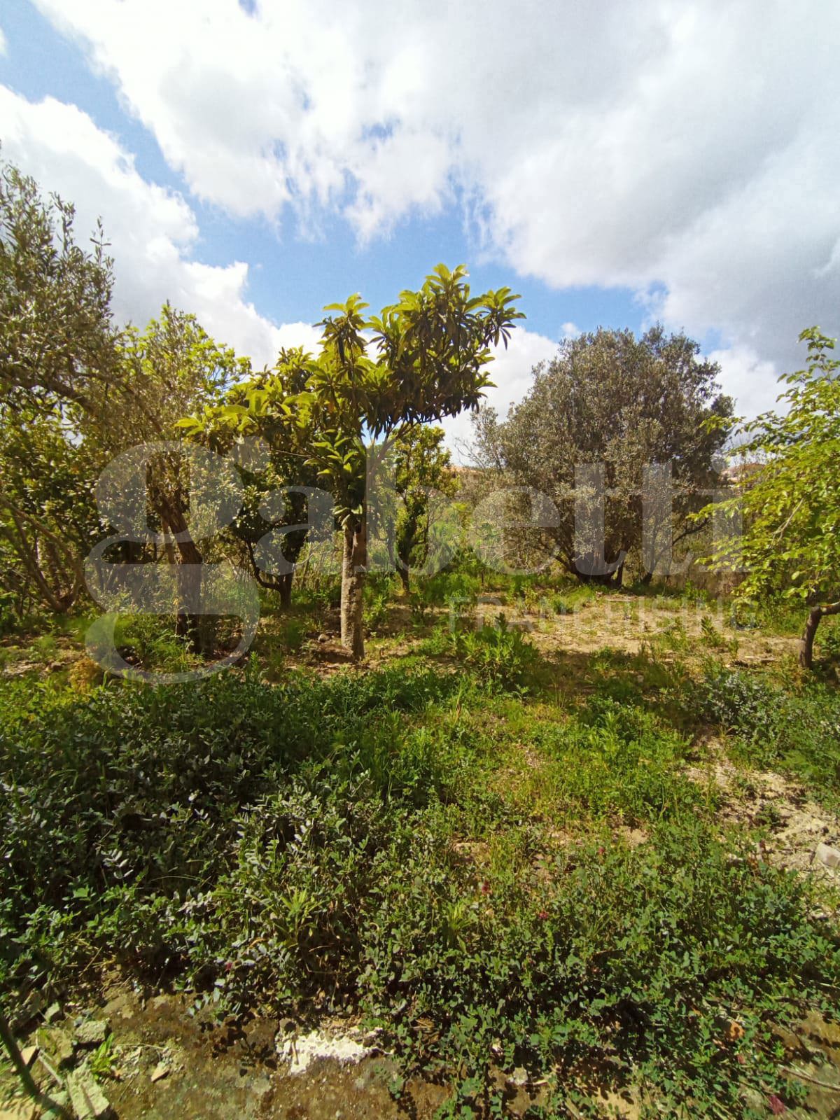 Villa in vendita a Borgia