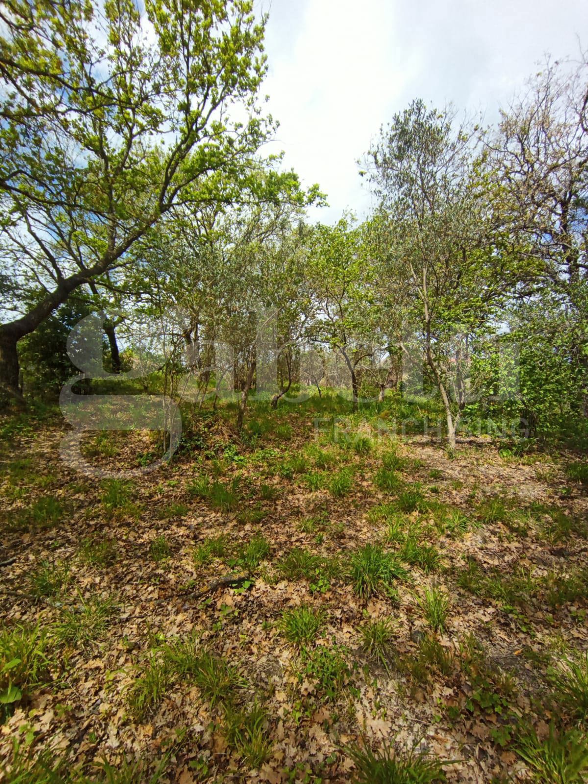 Villa in vendita a Borgia