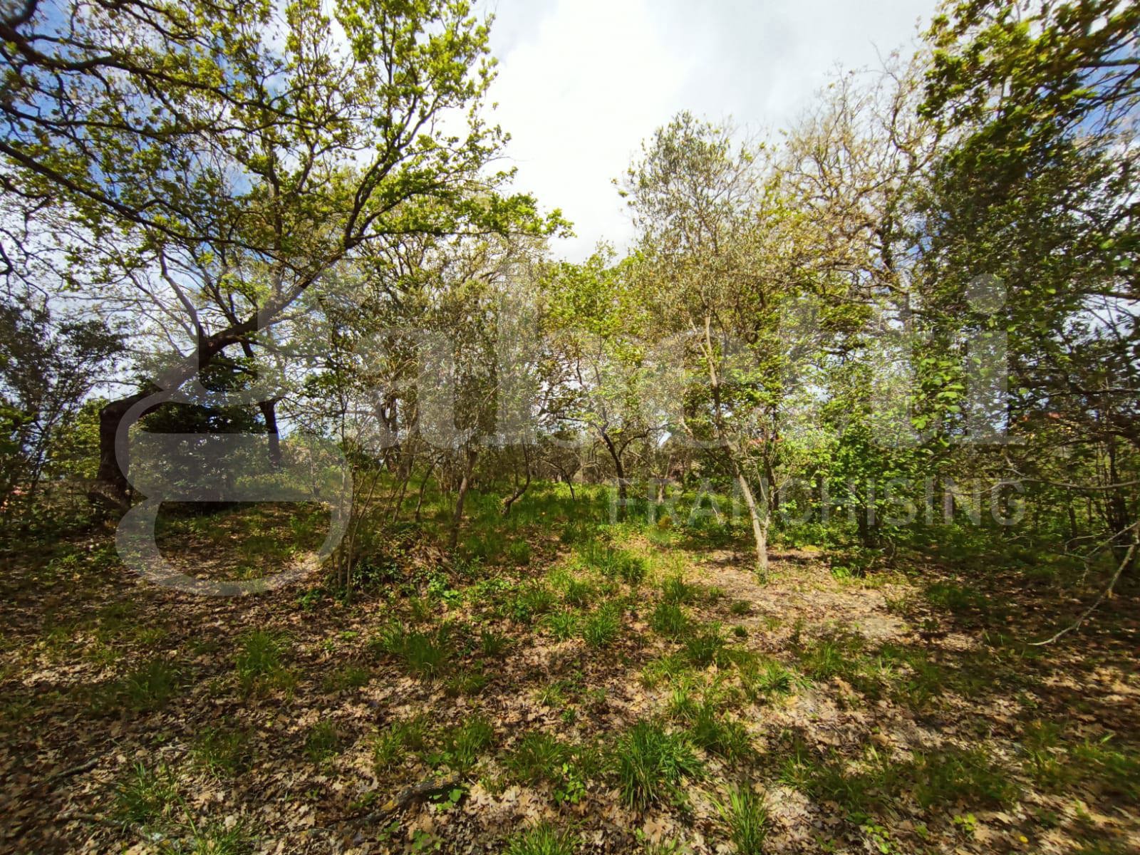 Villa in vendita a Borgia