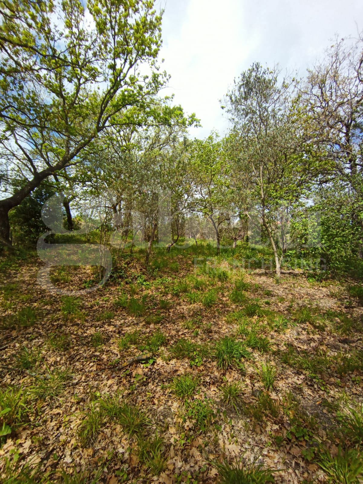 Villa in vendita a Borgia