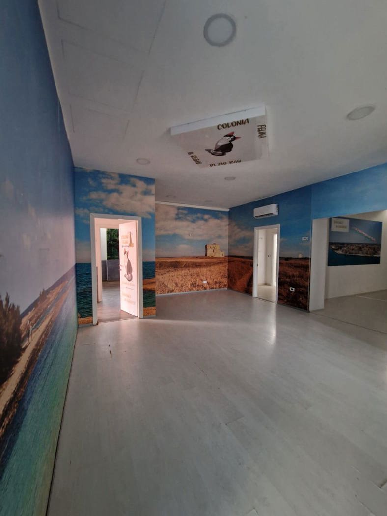 Negozio in affitto a Brindisi