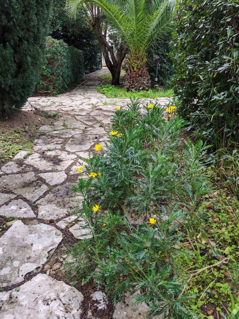 Villa con giardino a Cellino San Marco