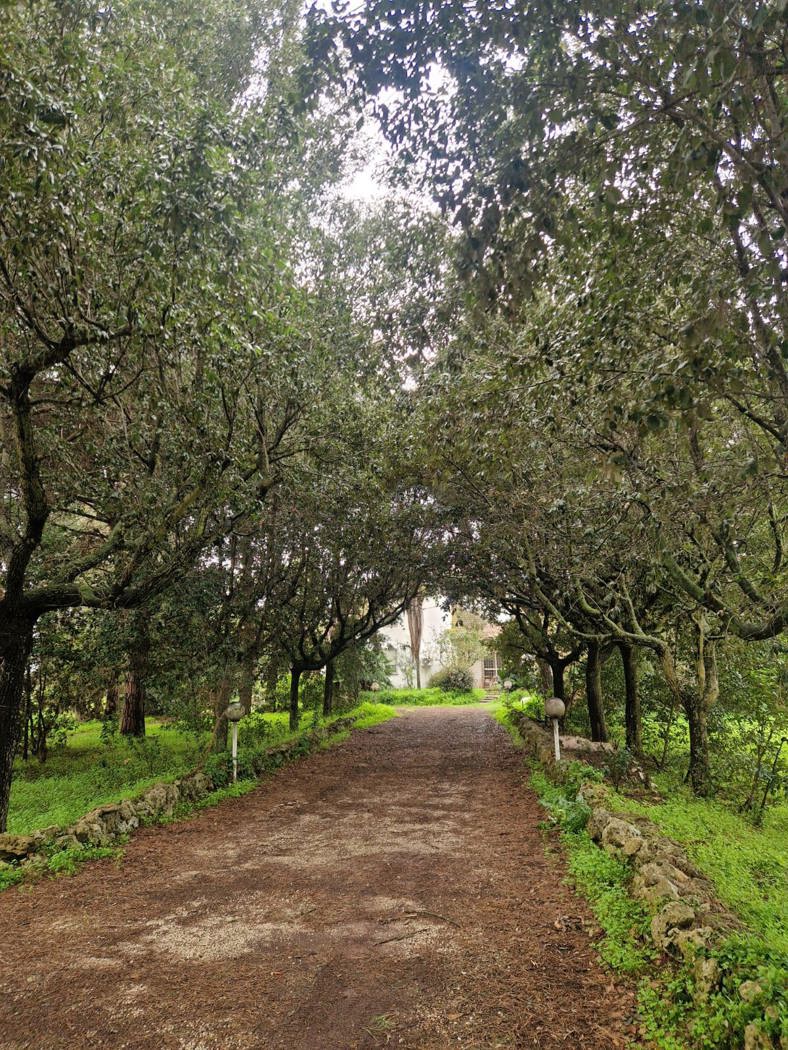 Villa con giardino a San Pietro Vernotico