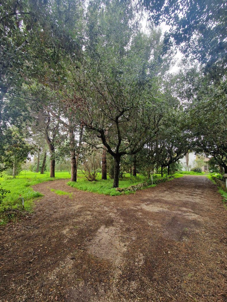 Villa con giardino a San Pietro Vernotico