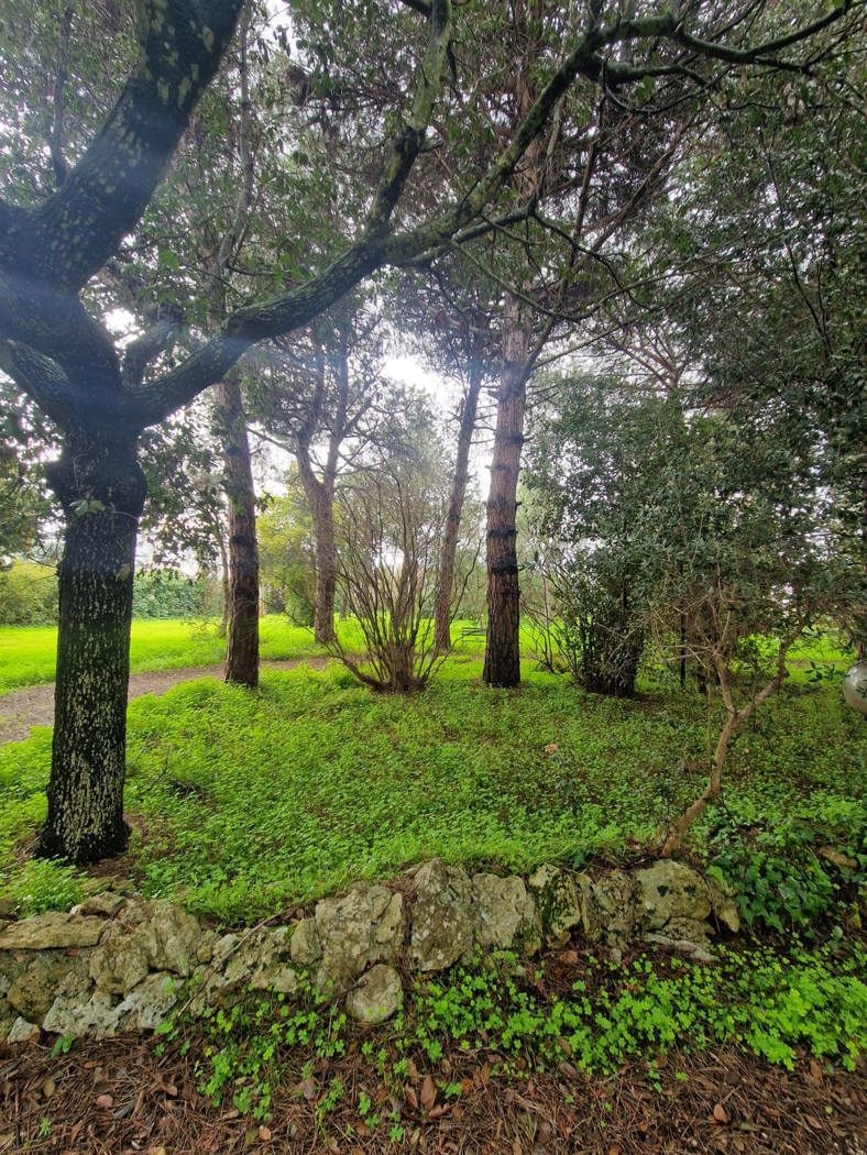 Villa con giardino a San Pietro Vernotico