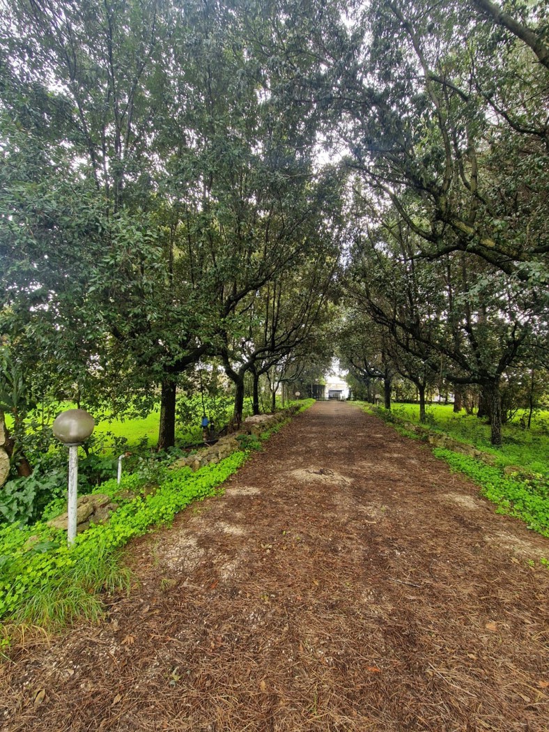 Villa con giardino a San Pietro Vernotico