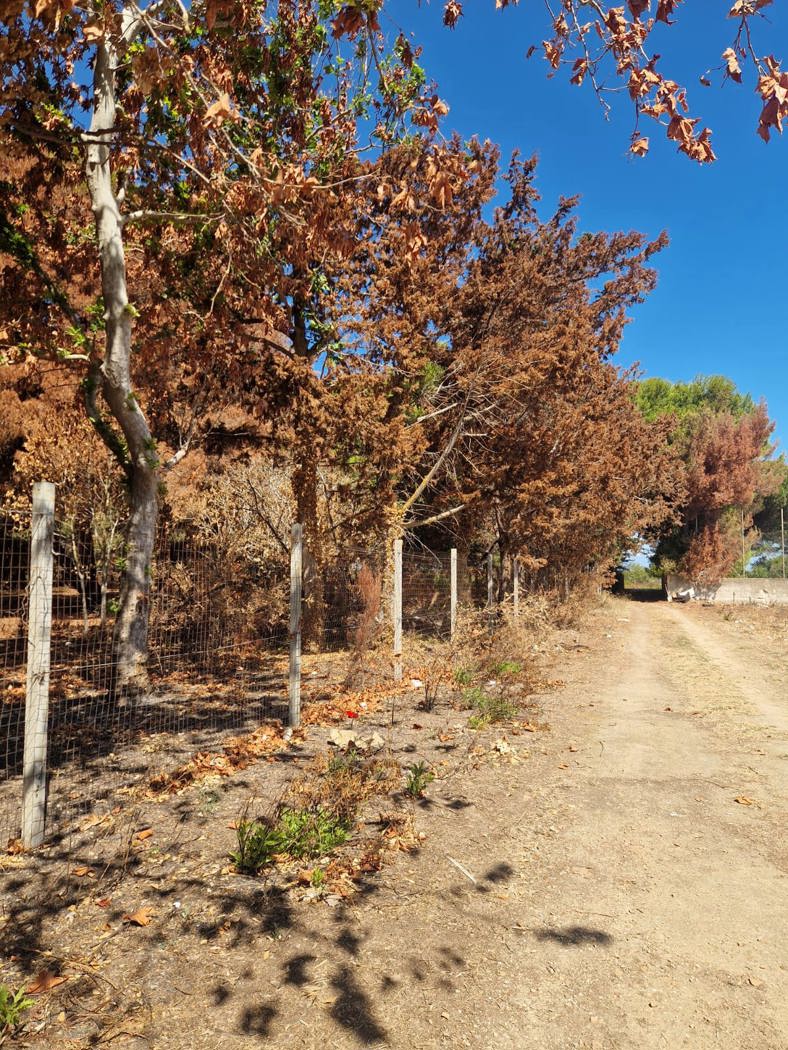 Villa da ristrutturare a Brindisi