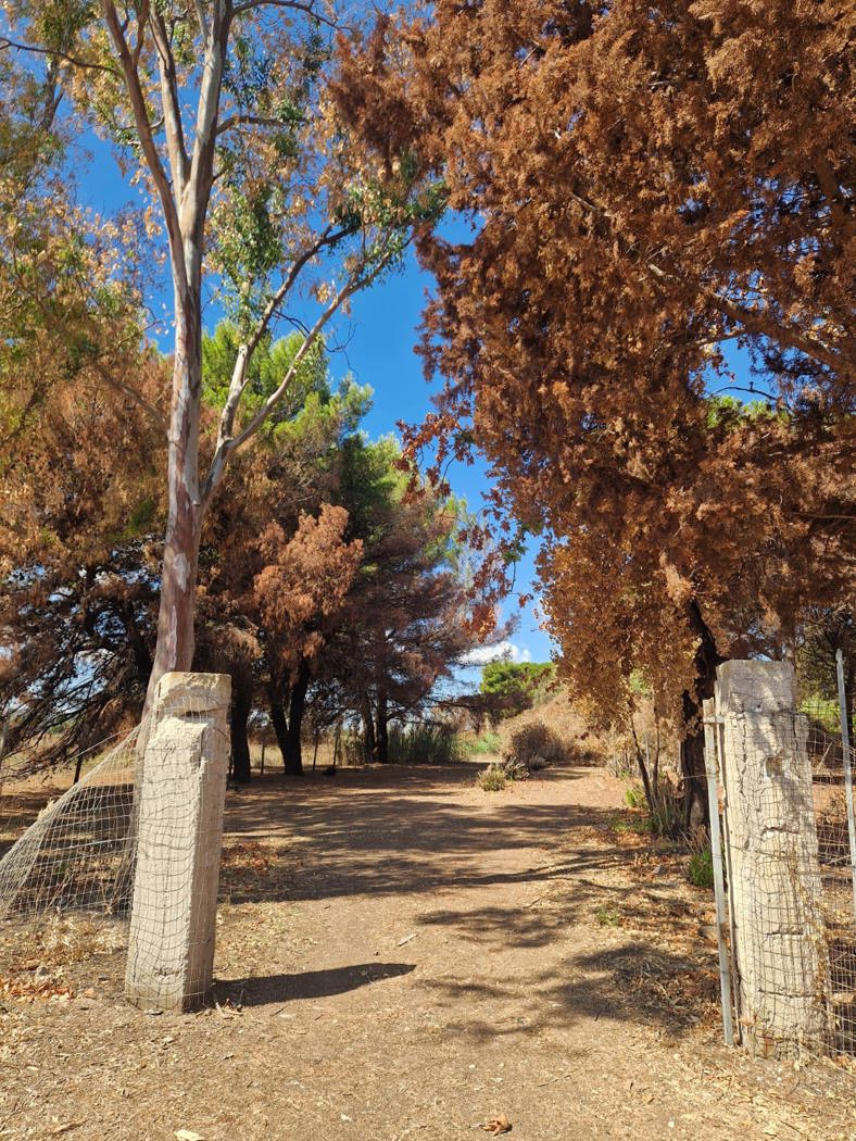 Villa da ristrutturare a Brindisi