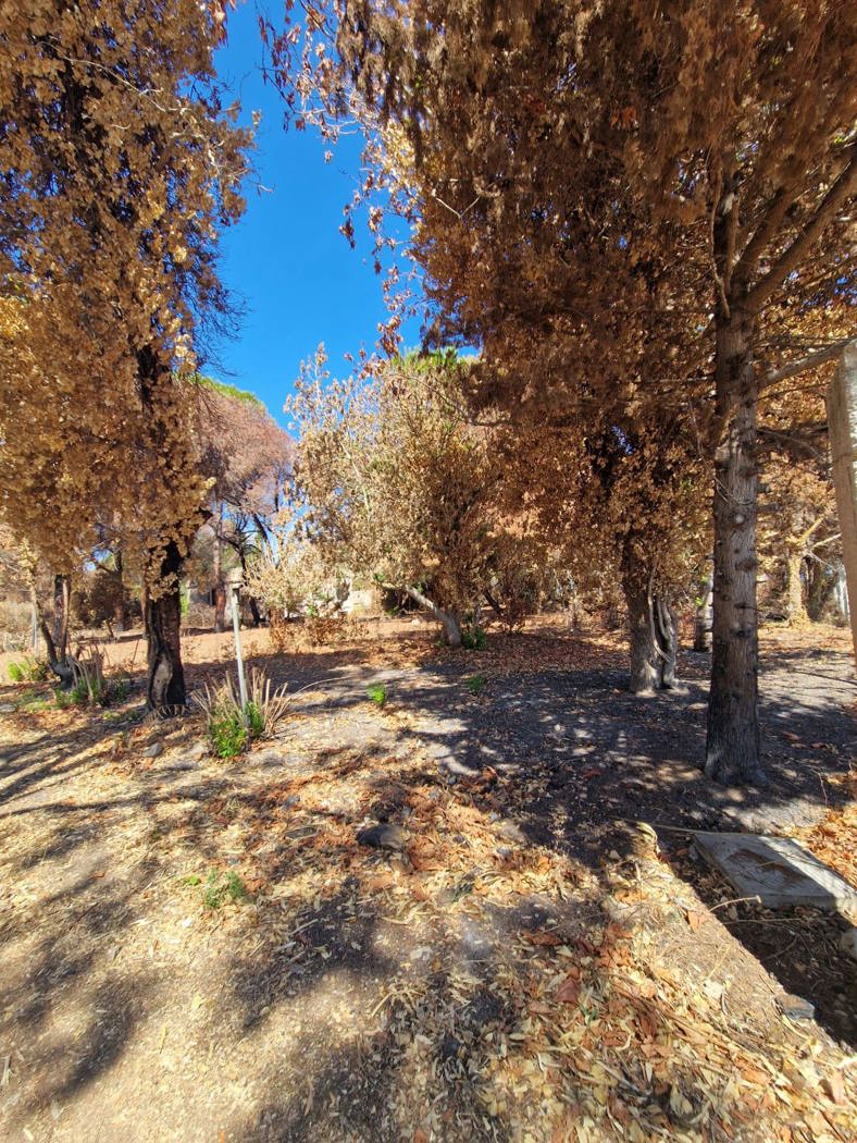 Villa da ristrutturare a Brindisi