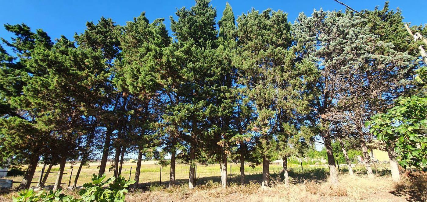 Villa con giardino a Brindisi