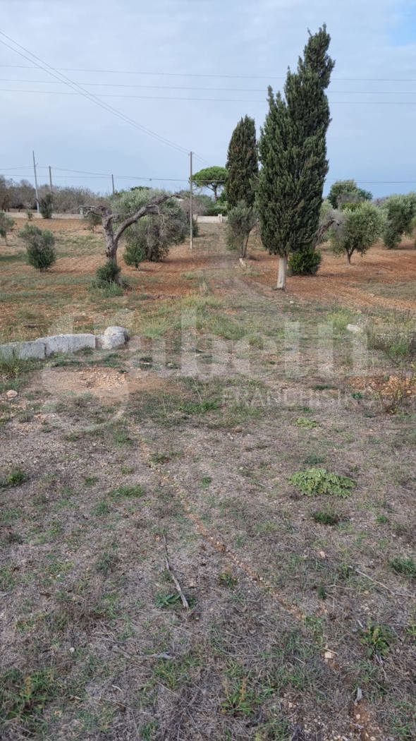 Terreno Edificabile in vendita a Carovigno