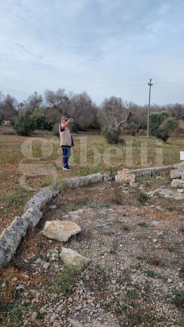 Terreno Edificabile in vendita a Carovigno