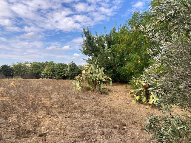 Terreno Edificabile in vendita a Cellino San Marco