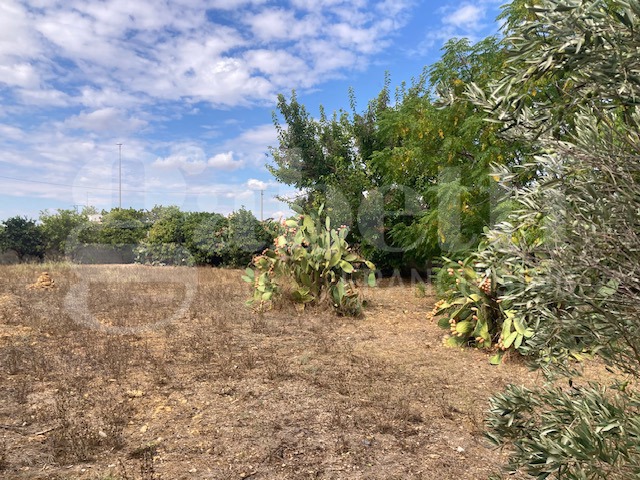 Terreno Edificabile in vendita a Cellino San Marco