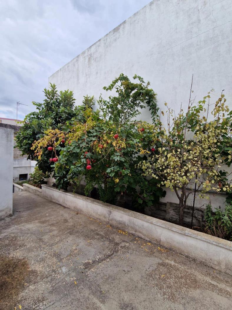 Casa indipendente con giardino a Alessano