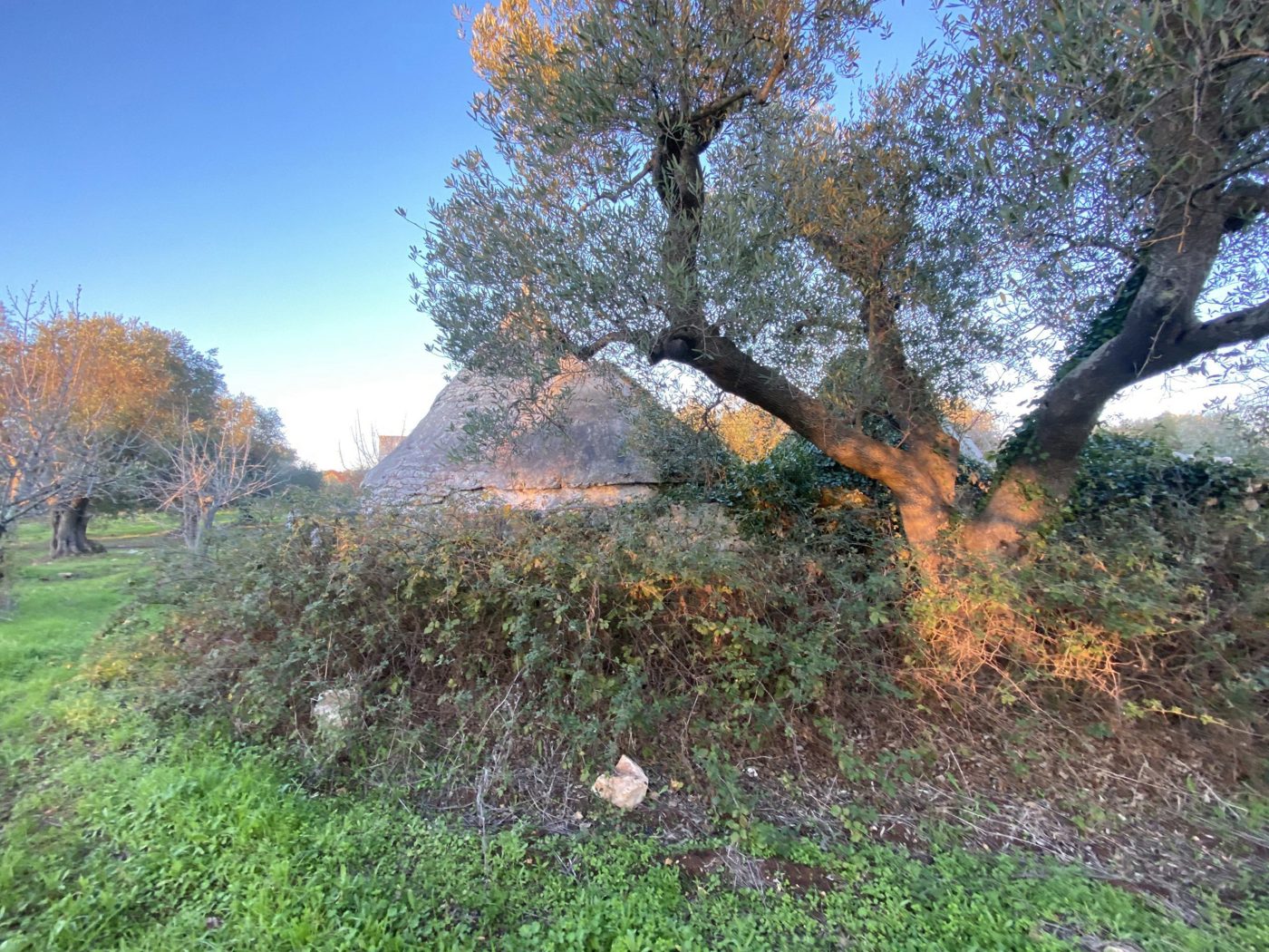 Appartamento in vendita a Ceglie Messapica