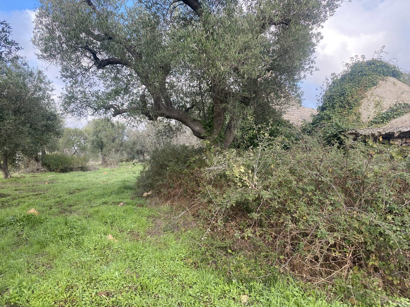 Appartamento in vendita a Ceglie Messapica
