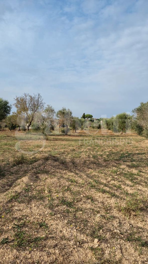 Terreno Edificabile in vendita a Carovigno