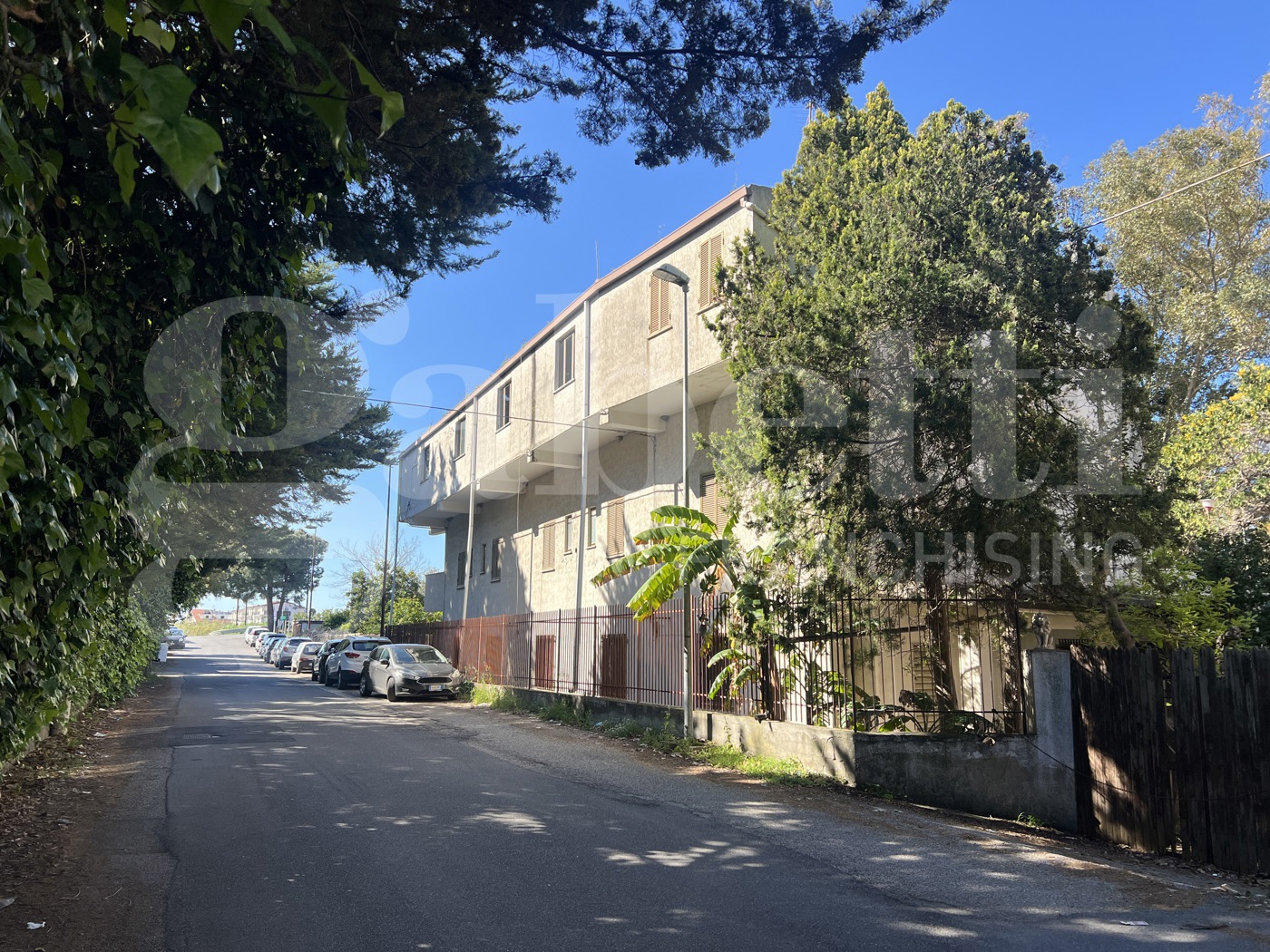 immagine annuncio 3 di 6