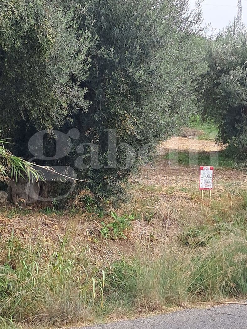 Terreno Edificabile in vendita a Amantea