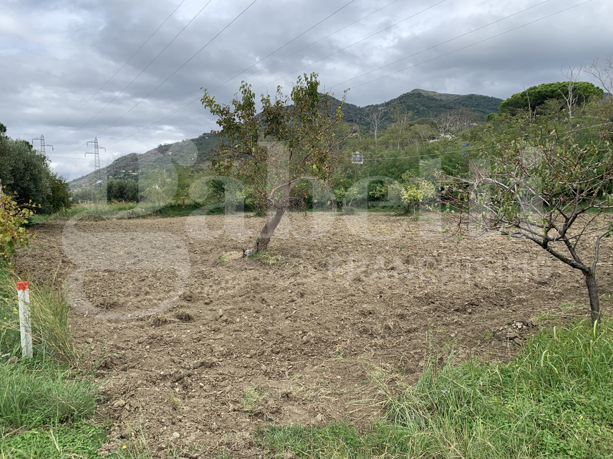 Casa indipendente con giardino a Fiumefreddo Bruzio