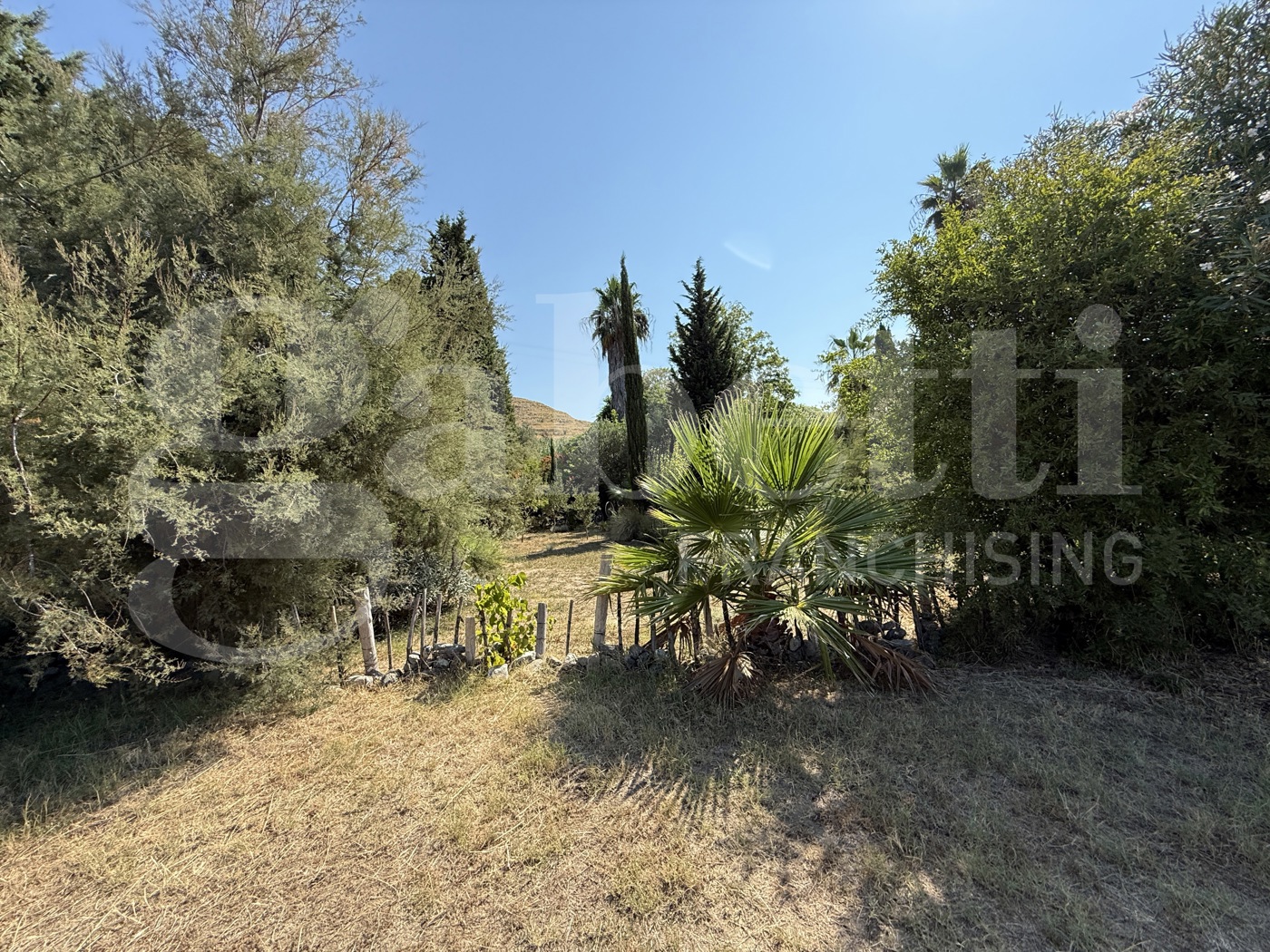 Terreno Edificabile in vendita a Amantea