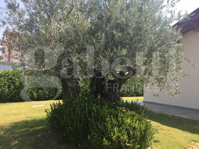 Casa indipendente con giardino a Faenza