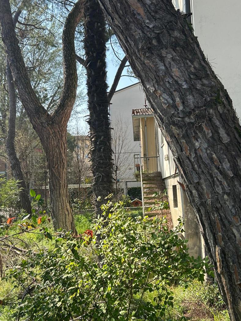 Casa indipendente con giardino a Faenza