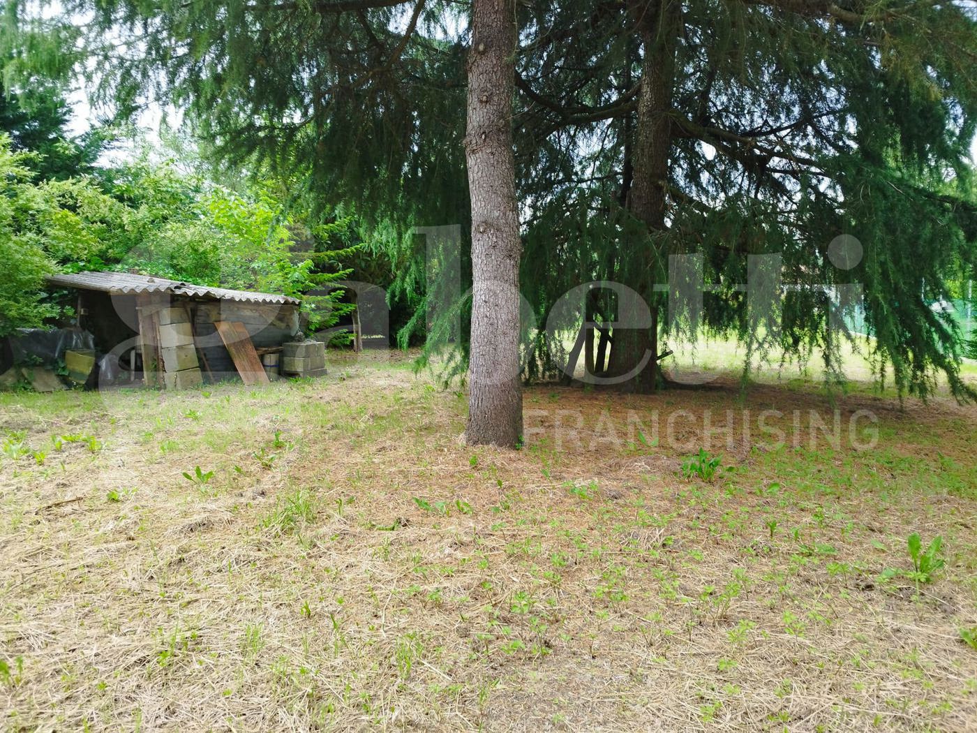 Casa indipendente con giardino a Cotignola