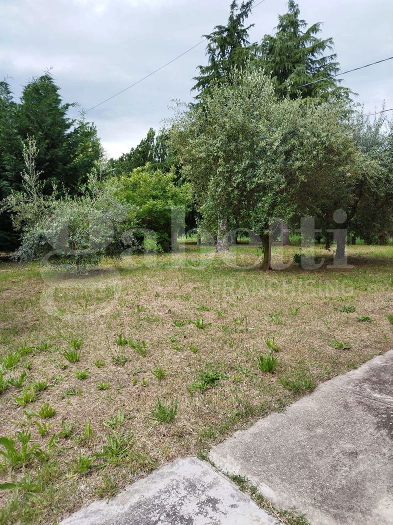 Casa indipendente con giardino a Cotignola