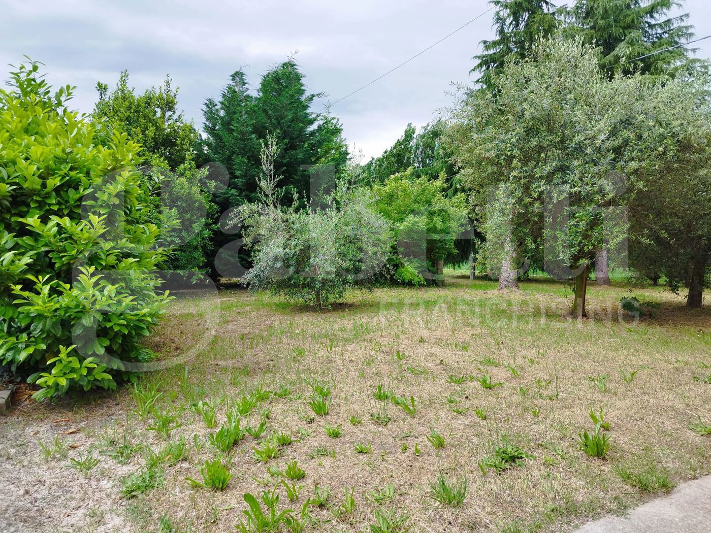 Casa indipendente con giardino a Cotignola