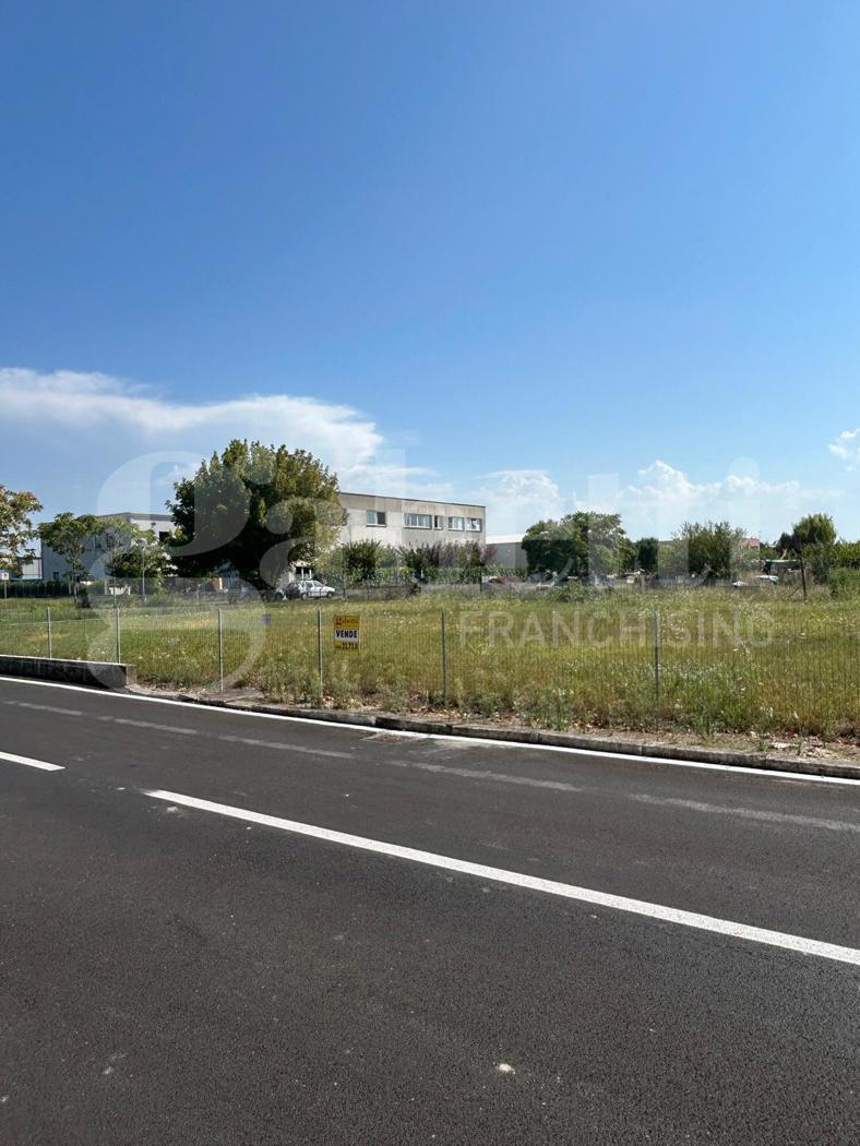 Terreno Agricolo in vendita a Solarolo