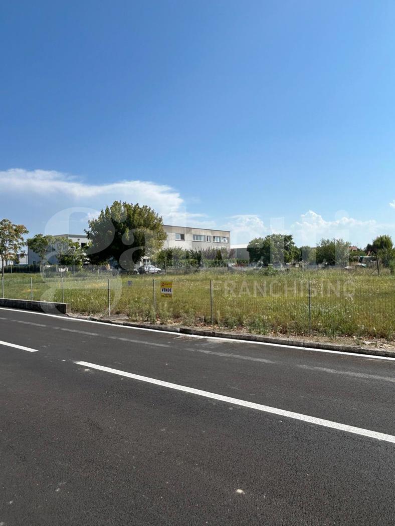 Terreno Agricolo in vendita a Solarolo