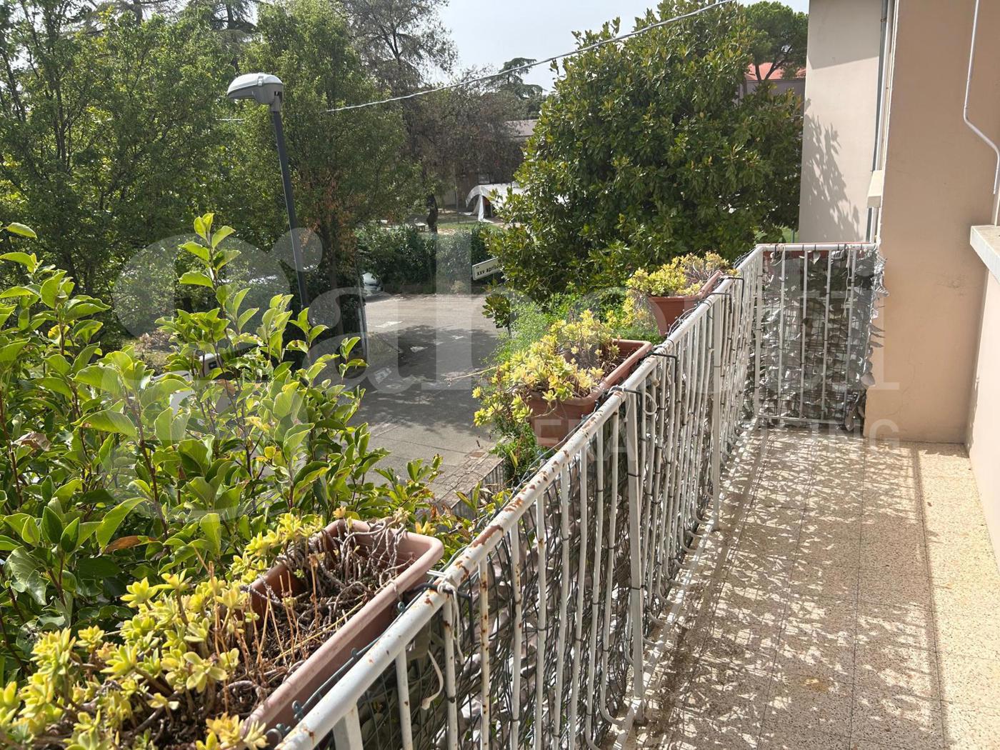 Casa indipendente in vendita a Riolo Terme