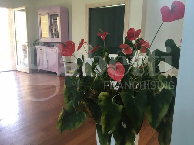 Casa indipendente con giardino a Faenza
