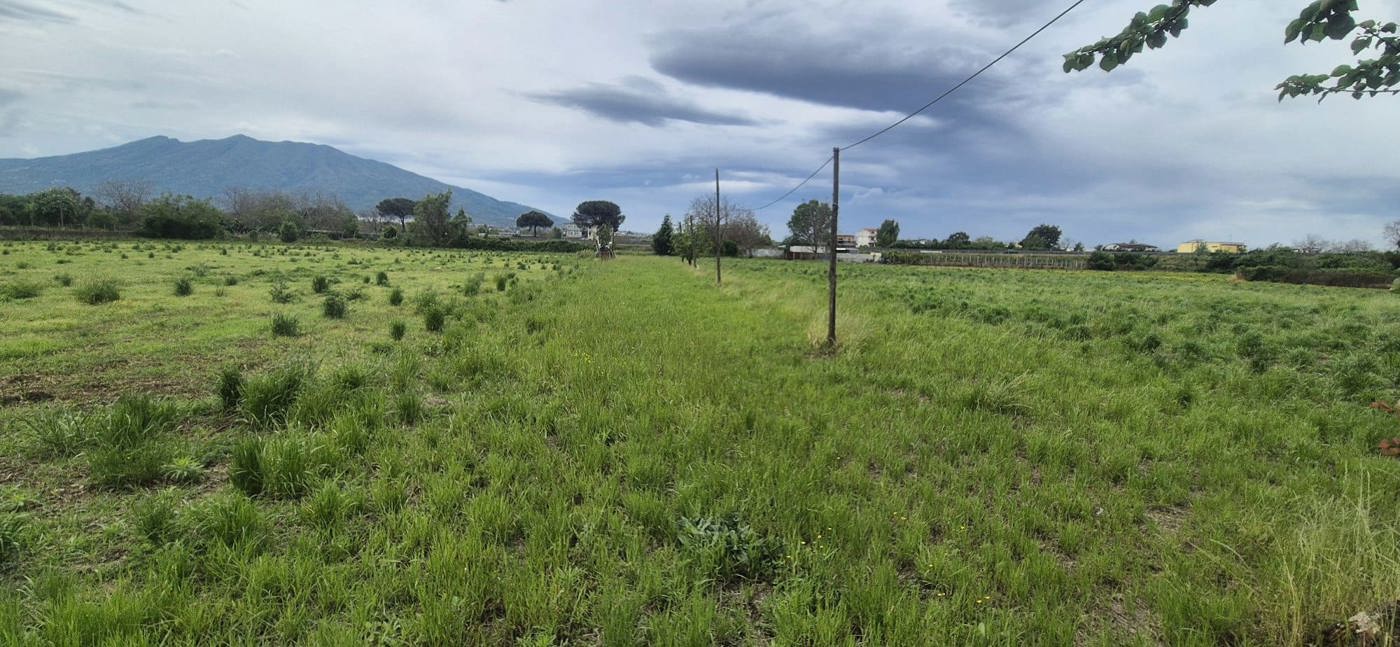 Terreno Edificabile in vendita a Pomigliano d'Arco