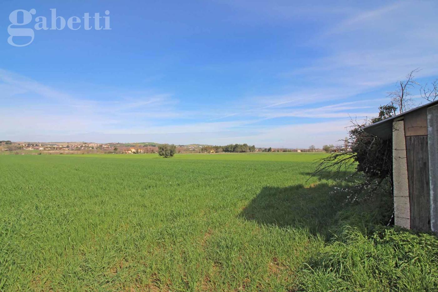 Rustico in vendita a Corinaldo