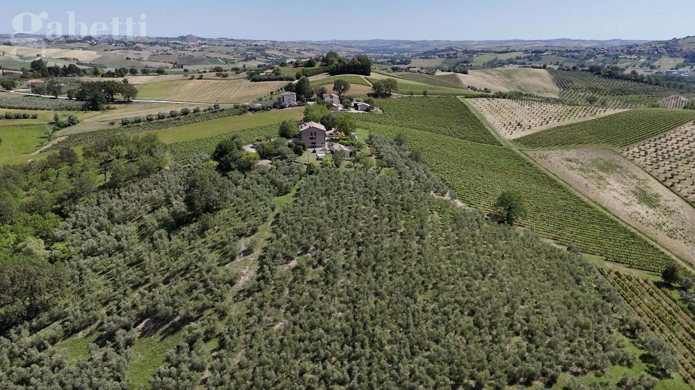 Villa Bifamiliare in vendita a Arcevia