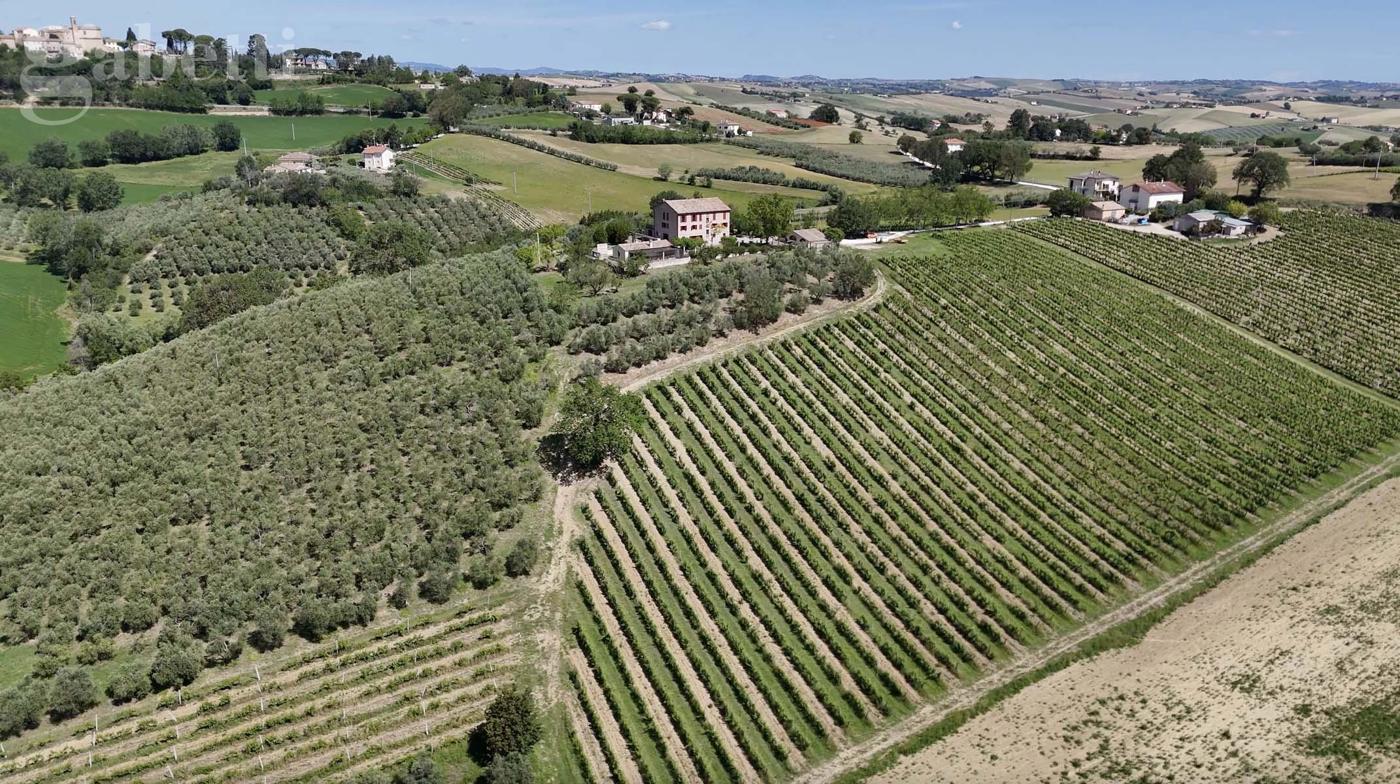 Villa Bifamiliare in vendita a Arcevia