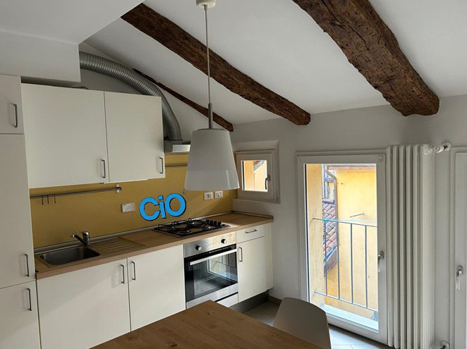 Loft in affitto a Bologna