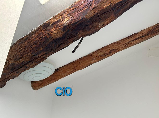 Loft in affitto a Bologna